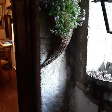 Gusto E Benessere Loft Nel Borgo Apartment Sacrofano